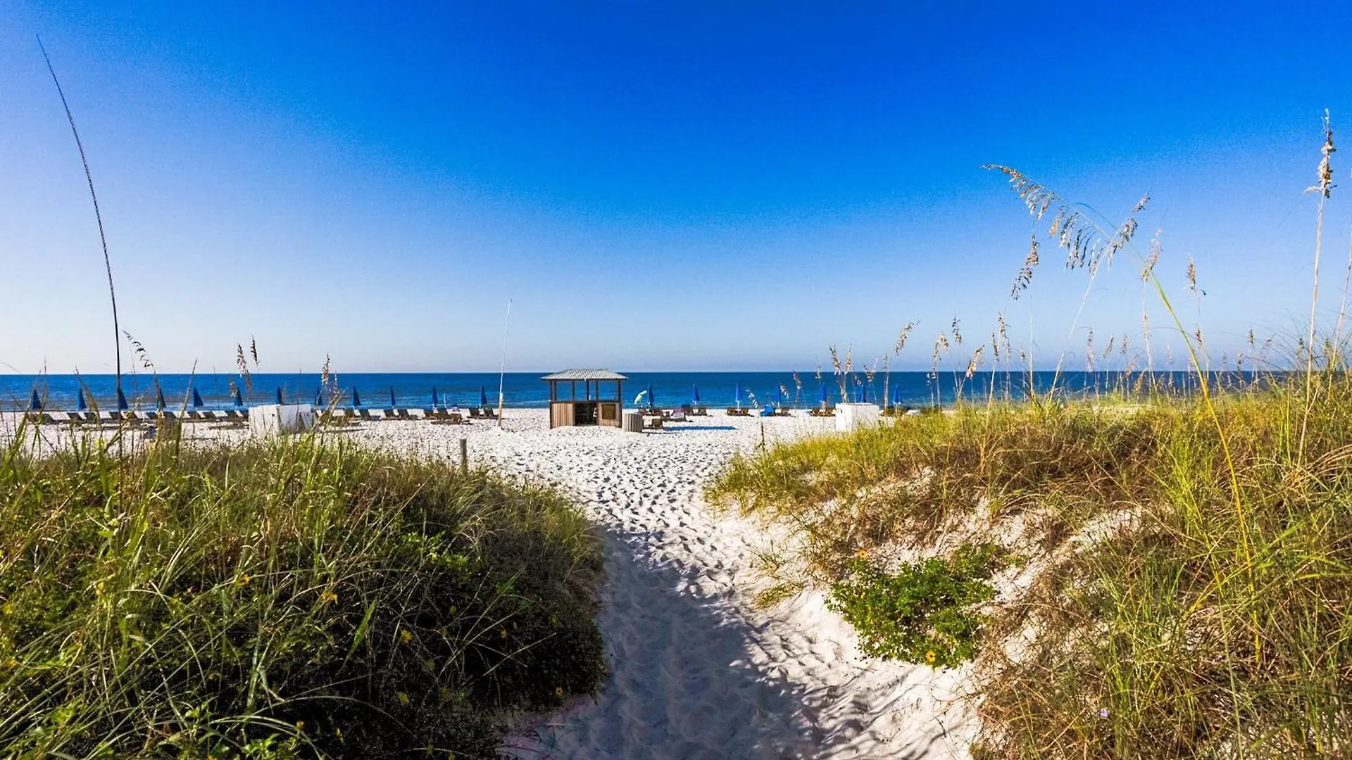 Top Of The Gulf 312 'The Tip-Sea Turtle' Panama City Beach USA